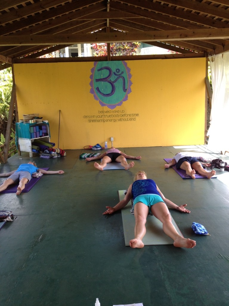Yoga and Meditation in Jamaica Jill Sand Consulting